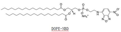 Cy花菁 BODIPY类 罗丹明 荧光素 香豆素 NIR系列荧光染料简介