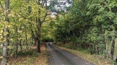 Lane Leading Through Woodland North Of Sandy Gerrard Geograph