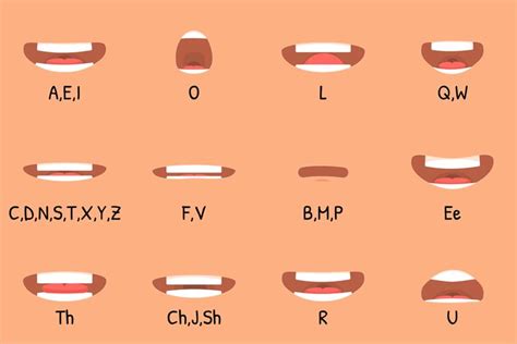 Mouth animation. Lip movements for cartoon character, human