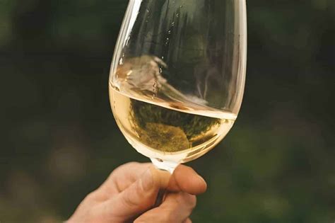 Albarino Wine Guide: History, Appearance, Taste, Serve, Pairing