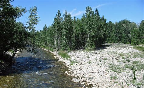 Rock Creek in Montana : Fly Fishing Information, Photos, & Detailed Guide