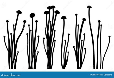 Set With Enoki Mushroom Or Flammulina Filiformisin Silhouettes In Black