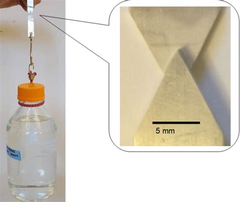 The Sticky Science Of Underwater Adhesives Washu Mckelvey School Of