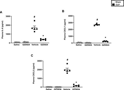 C Abl Kinase Regulates Neutrophil Extracellular Trap Formation And Lung