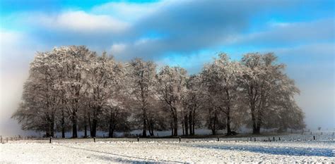 Free Images Landscape Tree Nature Forest Grass Horizon Branch Snow Cold Winter Sky