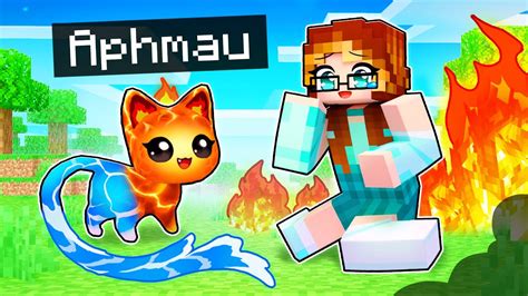 Playing Minecraft As A Helpful Elemental Kitten Youtube