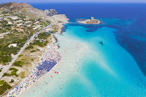 Le Asinara Les Plus Belles Plages De Sardaigne The Best Porn Website