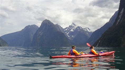 Naviguer En Kayak Dans Le Milford Sound