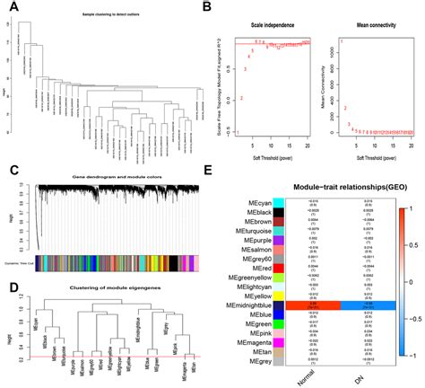 Development And Assessment Of Diabetic Nephropathy Prediction Model