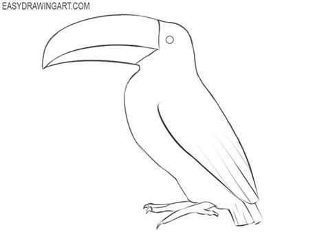 How to Draw a Toucan | Easy Drawing Art | Bird drawings, Drawings, Silk ...