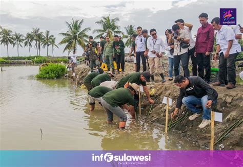 Peringati Hari Lingkungan Hidup Bupati Andi Utta Tanam Mangrove