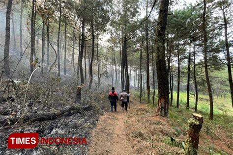 Kebakaran Hutan Gunung Lawu Lereng Utara Ngawi Hanguskan Hektar