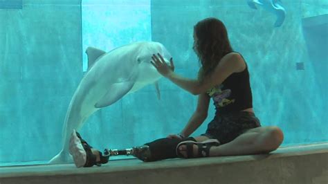 Ayden Wagler Meets Winter The Dolphin Wtsp