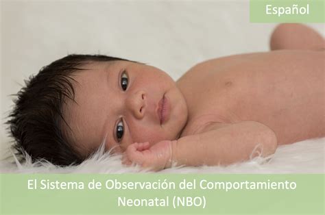 El Sistema De Observaci N Del Comportamiento Neonatal Nbo Mar