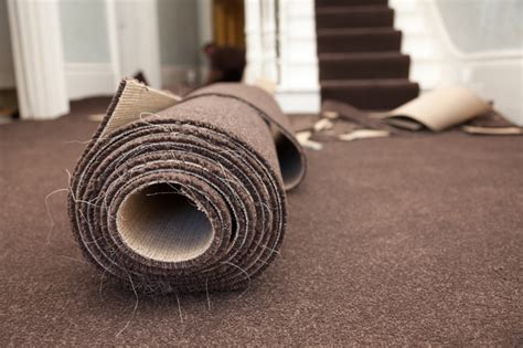 Carpeting 101 Types Of Carpet Fiber Flooring HQ Longwood FL