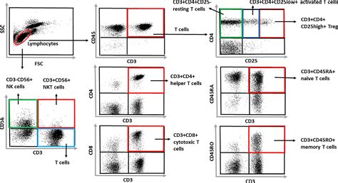 Frontiers Baseline Cd3 Cd56 Nkt Like Cells And The Outcome Of Influenza Vaccination In