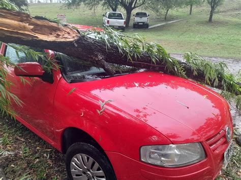 Feroz Temporal En Salta Derrib Arboles Y Postes Muycritico Ar