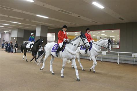 主な施設：東京競馬場 Jra