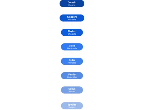 Hierarchical Data And How To Query It In Sql Learnsql