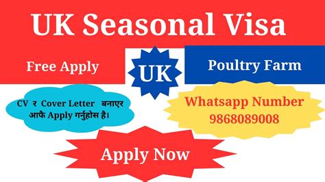 How to make Europass CV and Cover Latter कसर जन UK हरन हल