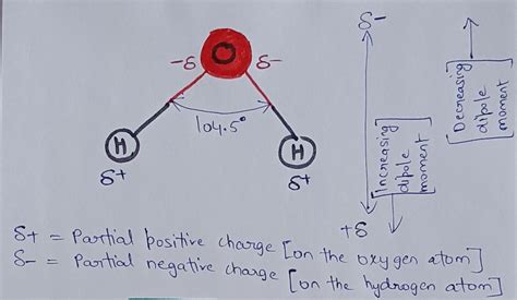 Solved A Draw The Structure Of A Water Molecule And Show The