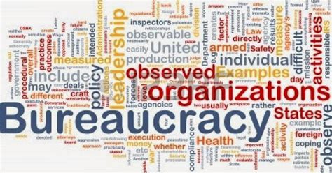 Observations In An Undemocratic World Organisational Structure A Bureaucratic Organisation