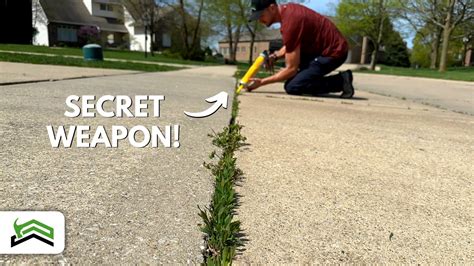 Weed Control On Gravel Driveway At Raymond Holloway Blog