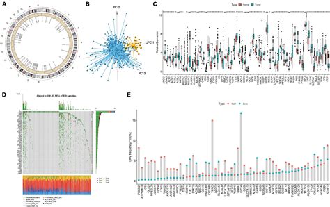 Frontiers Construction And Validation Of A Ferroptosis Related