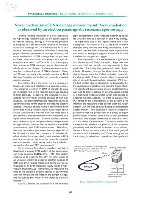 Pdf Novel Mechanism Of Dna Damage Induced By Soft X Ray Irradiation