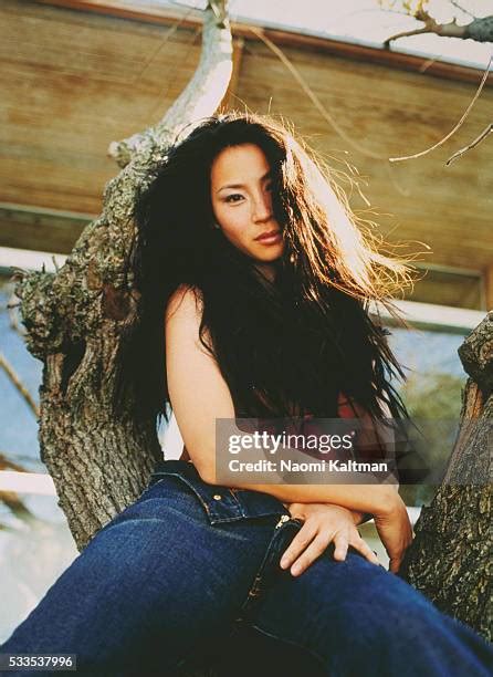 141 Lucy Liu Ethnicity Stock Photos, High-Res Pictures, and Images ...