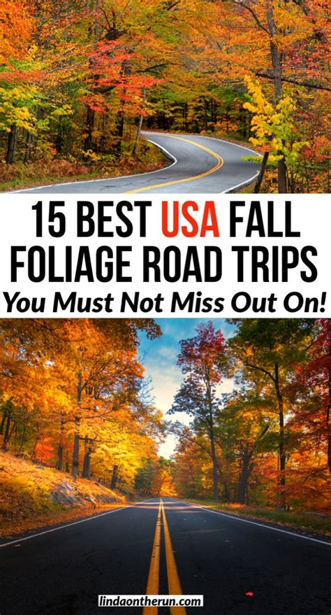 Fall Foliage With The Words Best Fall Foliage Drives In The Usa You