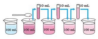 A Dilute Ferrous Sulphate Solution Was Gradually Added To The Beaker