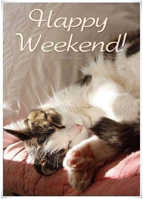 Happy Weekend Cat