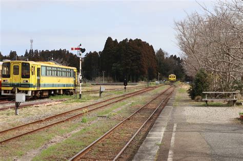 『いすみ鉄道の旅・・菜の花満開の国吉駅～上総中野駅を往復します。』いすみ・大多喜千葉県の旅行記・ブログ By Yamajiさん【フォートラベル】