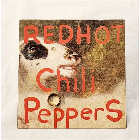 台版CD Red Hot Chili Peppers 嗆紅辣椒 By The Way 宣傳單曲 珍貴收藏 蝦皮購物