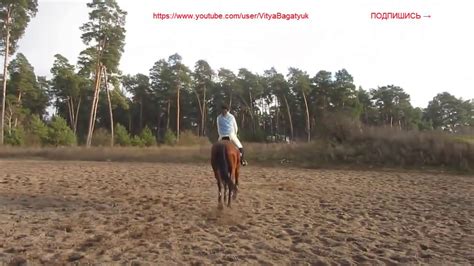 Красивая всадница упала с лошади - YouTube