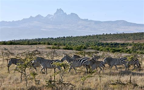 Mt. Kenya National Park | Exciting East African Tours Exciting East ...