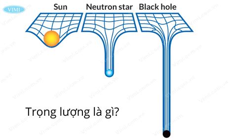 Trọng Lượng Là Gì Đơn Vị đo Trọng Lượng Công Thức Tính