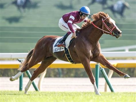 【弥生賞2024】予想と一週前追い切り・調教評価 未勝利マニアの競馬予想