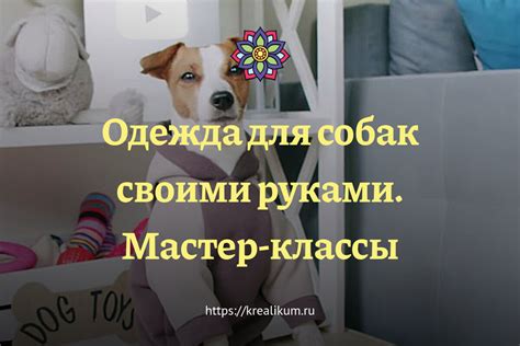 Одежда для собак своими руками. Мастер-классы | Креаликум