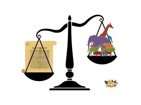 Judge Clipart Writ Habeas Corpus Judge Writ Habeas Corpus Transparent