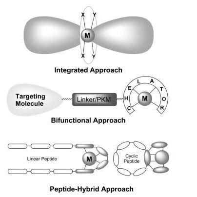 Showing three different approaches to radiopharmaceutical design ... 
