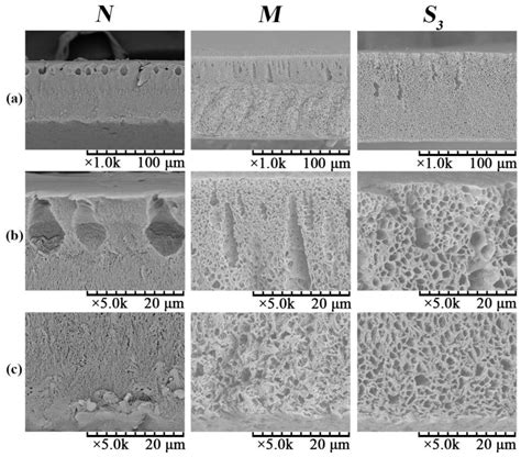 Membranes Free Full Text Preparation And Characterization Of