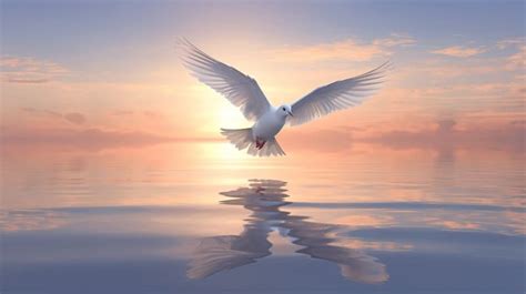 The Secret Spiritual Meaning Of Seeing A White Dove