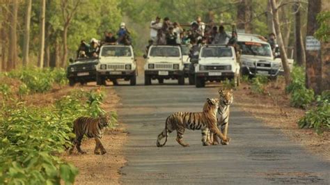 Bannerghatta National Park Timings