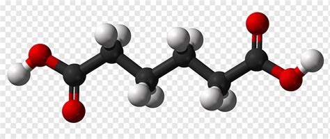 Molecule Adipic Acid Succinic Acid Molecular Symmetry Dicarboxylic