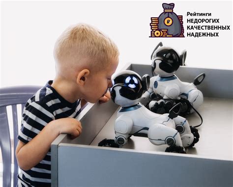 ТОП-10 Лучших радиоуправляемых роботов - Рейтинг 2024 | Хороший выбор ...