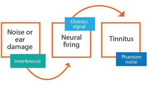 Tinnitus Hyperacusis And Sound Therapy Sound Therapy International