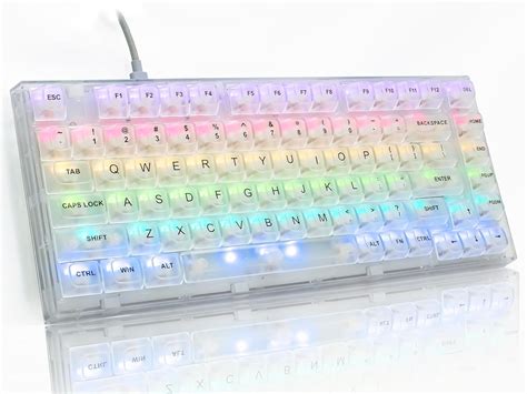 Amazon Zdawnn Transparent Mechanical Gaming Keyboard With Hot Swappable Gasket Rgb