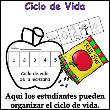 Manzanas Cuento Actividad Flota O Se Hunde Manualidad Ciclo De Vida